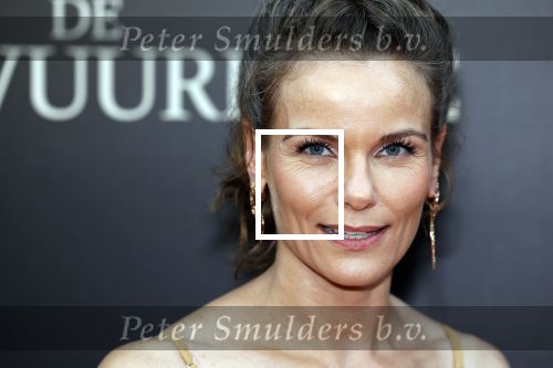 Amsterdam 11 september 2023
Premiere de Vuurlinie in Thuschinski Amsterdam . Angela Schijf draagt sieranden van Prinses Margarita
