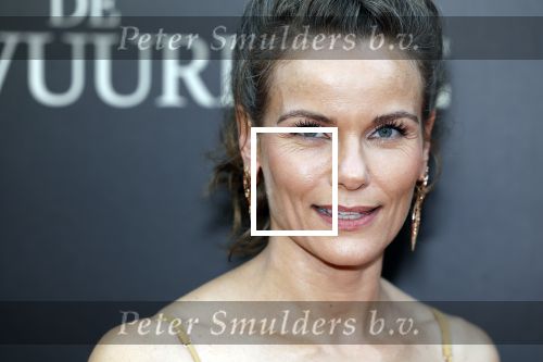 Amsterdam 11 september 2023
Premiere de Vuurlinie in Thuschinski Amsterdam . Angela Schijf draagt sieranden van Prinses Margarita