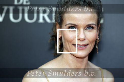 Amsterdam 11 september 2023
Premiere de Vuurlinie in Thuschinski Amsterdam . Angela Schijf draagt sieranden van Prinses Margarita