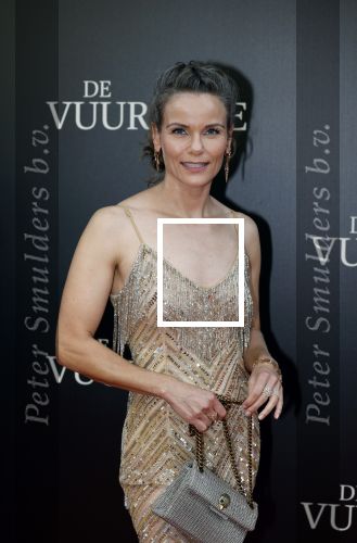 Amsterdam 11 september 2023
Premiere de Vuurlinie in Thuschinski Amsterdam . Angela Schijf draagt sieranden van Prinses Margarita