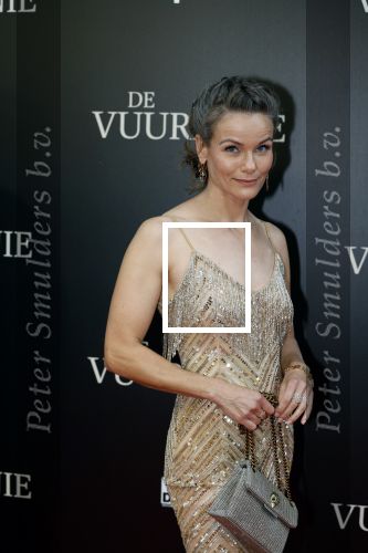 Amsterdam 11 september 2023
Premiere de Vuurlinie in Thuschinski Amsterdam . Angela Schijf draagt sieranden van Prinses Margarita