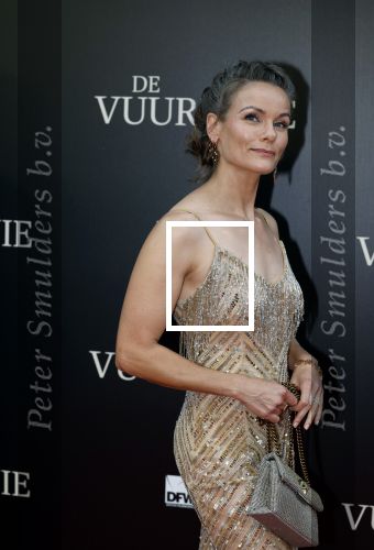 Amsterdam 11 september 2023
Premiere de Vuurlinie in Thuschinski Amsterdam . Angela Schijf draagt sieranden van Prinses Margarita