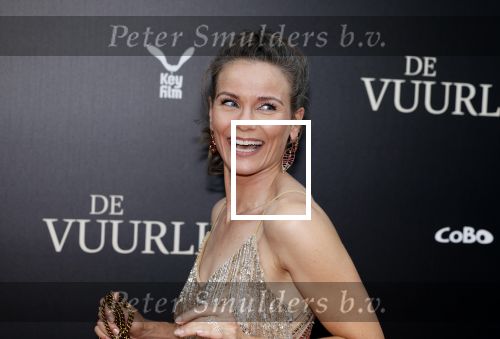 Amsterdam 11 september 2023
Premiere de Vuurlinie in Thuschinski Amsterdam . Angela Schijf draagt sieranden van Prinses Margarita
