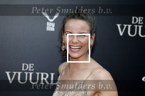 Amsterdam 11 september 2023
Premiere de Vuurlinie in Thuschinski Amsterdam . Angela Schijf draagt sieranden van Prinses Margarita