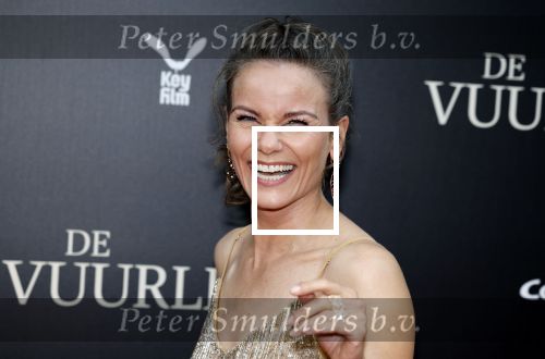 Amsterdam 11 september 2023
Premiere de Vuurlinie in Thuschinski Amsterdam . Angela Schijf draagt sieranden van Prinses Margarita