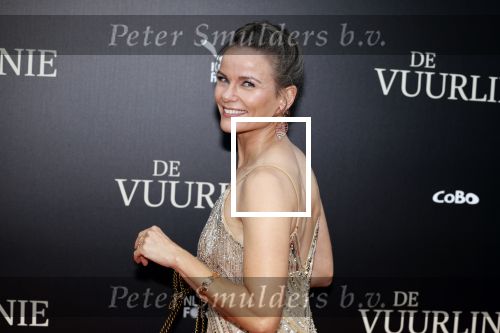 Amsterdam 11 september 2023
Premiere de Vuurlinie in Thuschinski Amsterdam . Angela Schijf draagt sieranden van Prinses Margarita