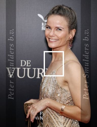 Amsterdam 11 september 2023
Premiere de Vuurlinie in Thuschinski Amsterdam . Angela Schijf draagt sieranden van Prinses Margarita