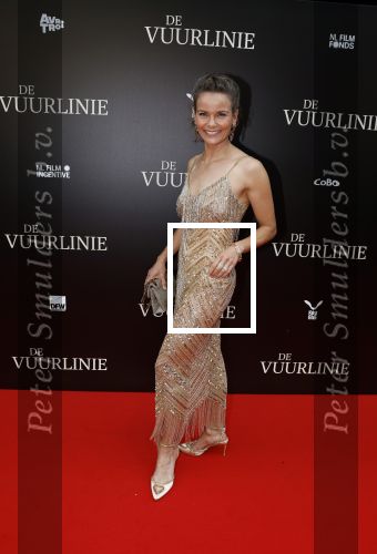 Amsterdam 11 september 2023
Premiere de Vuurlinie in Thuschinski Amsterdam . Angela Schijf draagt sieranden van Prinses Margarita
