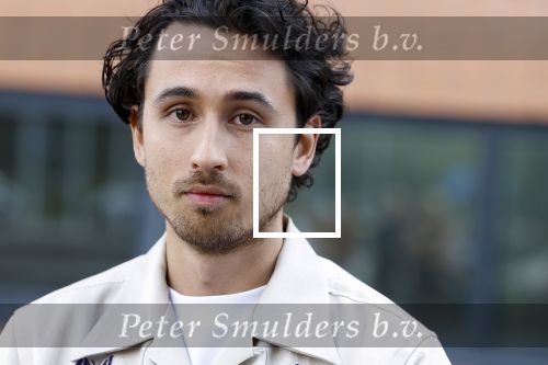 Hilversum 28 augustus 2023
Nicolette Kluijver en Art Rooijakkers met o.a. Hassan Slaby, Guido Spek, Jochen Otten, Krista Arriens, Radmilo Soda, Iris Enthoven, Mark Baanders, Floris Gobel, Iris van Lunenburg, Willem Voogd, Jaimie Vaes, Roosmarijn Wind, Chelsey Weimar, Ilse Paulis, Armand Rosbak en Frits Wester bij de presentatie van Expeditie Robinson 2023 bij RTL in Hilversum.
