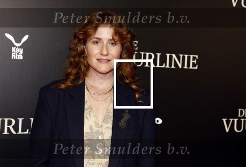 Amsterdam 11 september 2023
Premiere de Vuurlinie in Thuschinski Amsterdam .  Britte Lagcher