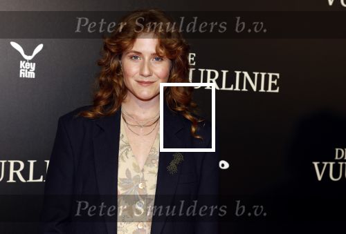 Amsterdam 11 september 2023
Premiere de Vuurlinie in Thuschinski Amsterdam .  Britte Lagcher