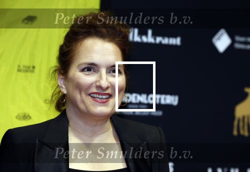 Utrecht 22 september 2023
Premiere Sweet dreams tijdens openingsavond van de filmdagen.  Carly Wijs