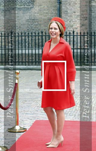 Den Haag 19 september 2023
Prinsjesdag 2023 . Aankomst van de ministers met partners en Staatsecretarissen met partners op het binnenhof. carola Schouten met partner