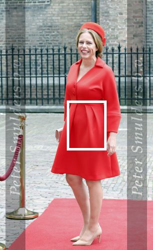 Den Haag 19 september 2023
Prinsjesdag 2023 . Aankomst van de ministers met partners en Staatsecretarissen met partners op het binnenhof. carola Schouten met partner