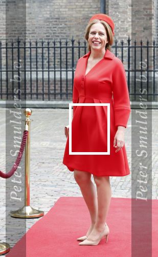 Den Haag 19 september 2023
Prinsjesdag 2023 . Aankomst van de ministers met partners en Staatsecretarissen met partners op het binnenhof. carola Schouten met partner