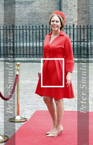 Den Haag 19 september 2023
Prinsjesdag 2023 . Aankomst van de ministers met partners en Staatsecretarissen met partners op het binnenhof. carola Schouten met partner