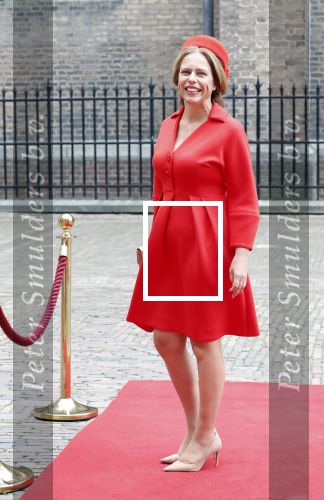 Den Haag 19 september 2023
Prinsjesdag 2023 . Aankomst van de ministers met partners en Staatsecretarissen met partners op het binnenhof. carola Schouten met partner