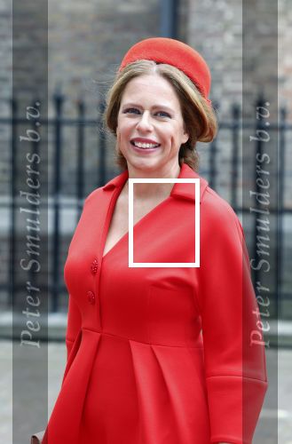 Den Haag 19 september 2023
Prinsjesdag 2023 . Aankomst van de ministers met partners en Staatsecretarissen met partners op het binnenhof. carola Schouten met partner