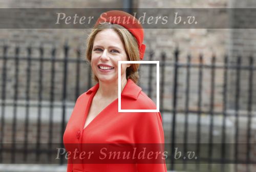 Den Haag 19 september 2023
Prinsjesdag 2023 . Aankomst van de ministers met partners en Staatsecretarissen met partners op het binnenhof. carola Schouten met partner
