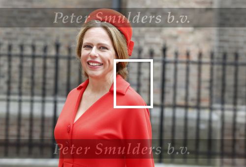 Den Haag 19 september 2023
Prinsjesdag 2023 . Aankomst van de ministers met partners en Staatsecretarissen met partners op het binnenhof. carola Schouten met partner