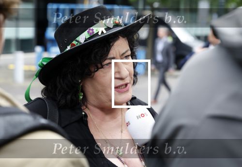 Den Haag 19 september 2023
Prinsjesdag 2023. Carolien v d Plas