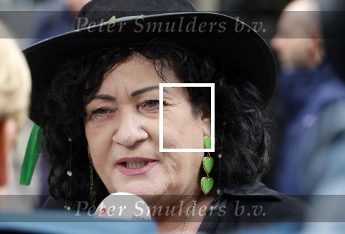 Den Haag 19 september 2023
Prinsjesdag 2023. Carolien v d Plas