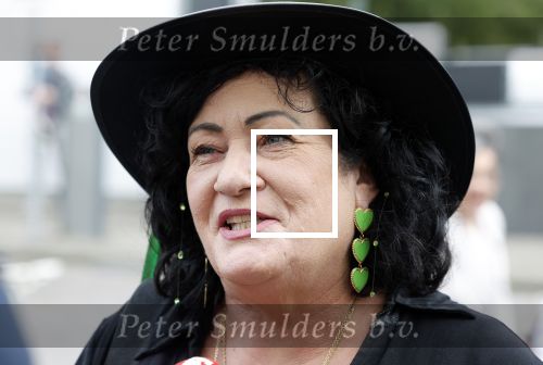 Den Haag 19 september 2023
Prinsjesdag 2023. Carolien v d Plas