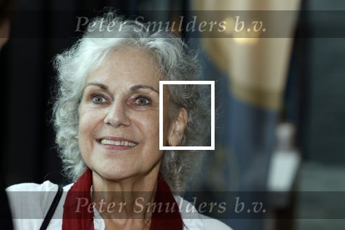 Hilversum 25 september 2023
Presentatie boek Harry de Winter in beeld en geluid. Cilly Dartell kwam met haar man .