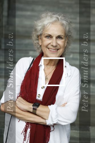 Hilversum 25 september 2023
Presentatie boek Harry de Winter in beeld en geluid. Cilly Dartell kwam met haar man .