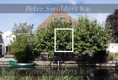 Abcoude 16 september 2023
Douwe Bob zijn vriendin met zoontje gaan verhuizen naar Abcoude . Ze hebben een huis gekocht aan het Gein .