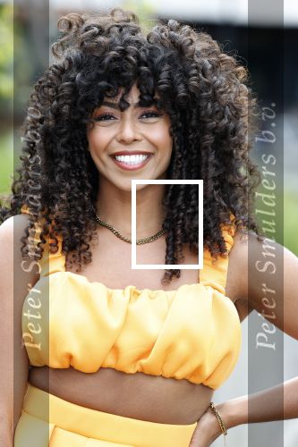 Hilversum 29 augustus 2023
Presentatie nieuwe tv seizoen NPO bij studio 21 op het mediapark.
Fenna Ramos