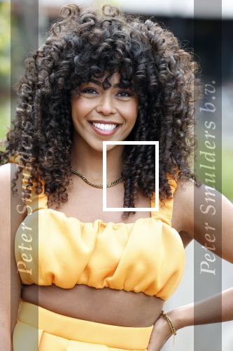 Hilversum 29 augustus 2023
Presentatie nieuwe tv seizoen NPO bij studio 21 op het mediapark.
Fenna Ramos