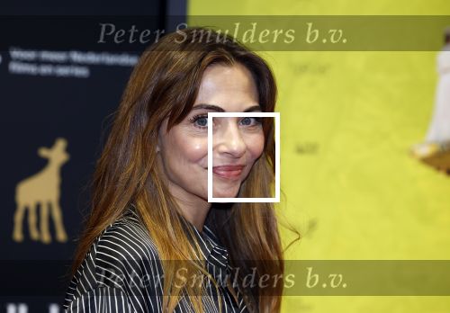 Utrecht 22 september 2023
Premiere Sweet dreams tijdens openingsavond van de filmdagen.