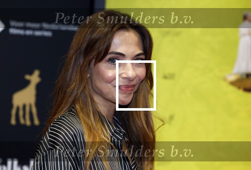 Utrecht 22 september 2023
Premiere Sweet dreams tijdens openingsavond van de filmdagen.