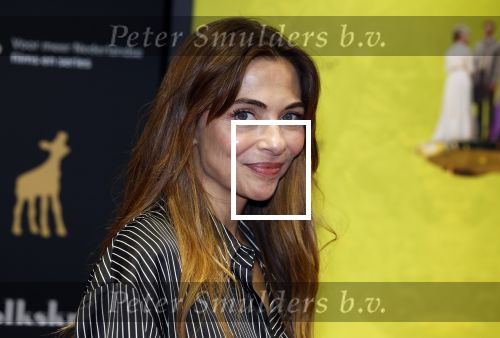 Utrecht 22 september 2023
Premiere Sweet dreams tijdens openingsavond van de filmdagen.