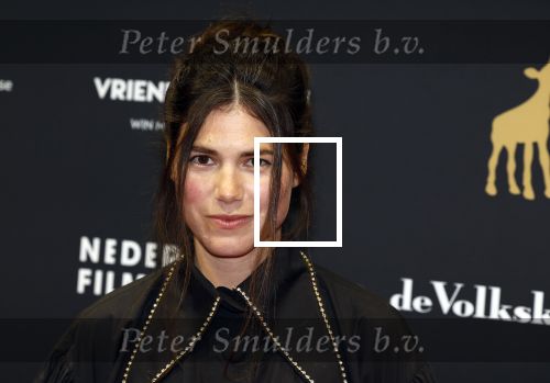 Utrecht 22 september 2023
Premiere Sweet dreams tijdens openingsavond van de filmdagen. Hanna van Vliet