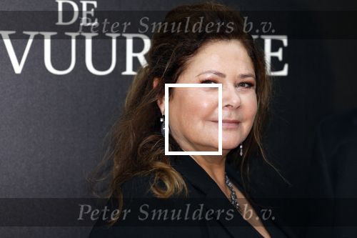 Amsterdam 11 september 2023
Premiere de Vuurlinie in Thuschinski Amsterdam .  Hanneke Niens