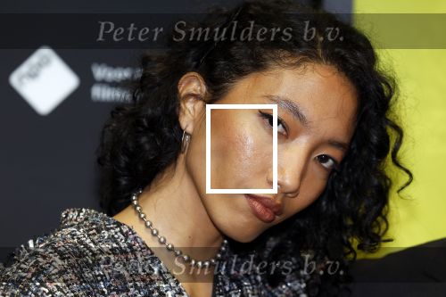 Utrecht 22 september 2023
Premiere Sweet dreams tijdens openingsavond van de filmdagen. Hayati Aziz
