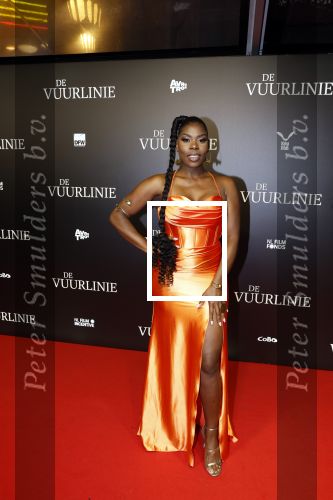 Amsterdam 11 september 2023
Premiere de Vuurlinie in Thuschinski Amsterdam .  Imanuelle Grives