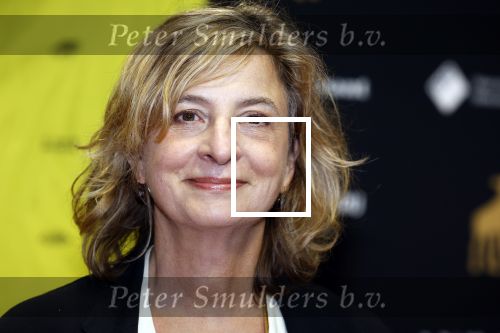 Utrecht 22 september 2023
Premiere Sweet dreams tijdens openingsavond van de filmdagen. Jacqueline Blom