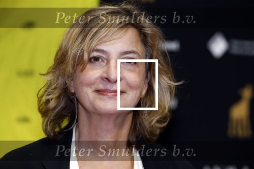 Utrecht 22 september 2023
Premiere Sweet dreams tijdens openingsavond van de filmdagen. Jacqueline Blom