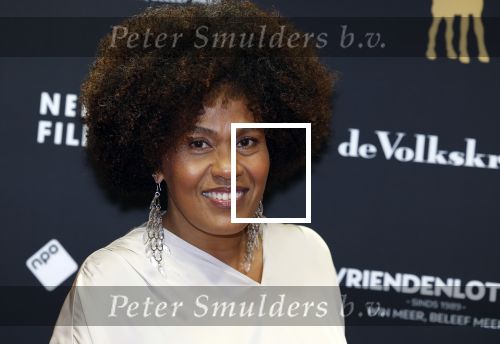 Utrecht 22 september 2023
Premiere Sweet dreams tijdens openingsavond van de filmdagen. Manoushka Zeegelaar-Breeveld
