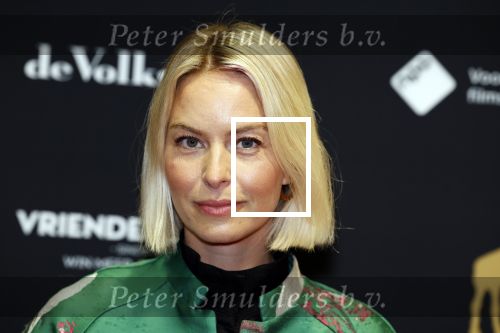 Utrecht 22 september 2023
Premiere Sweet dreams tijdens openingsavond van de filmdagen.
