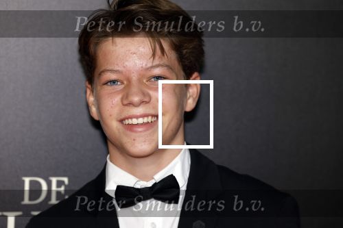 Amsterdam 11 september 2023
Premiere de Vuurlinie in Thuschinski Amsterdam .