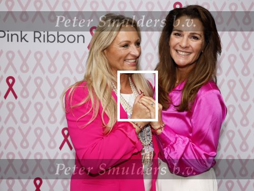 Amsterdam 25 september 2023
Start van de maand voor borstkankeronderzoek / pink Ribbon met oa Quinty Trustfull en Desray.