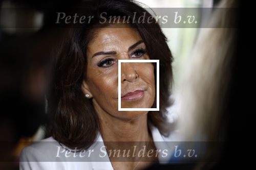 Amsterdam 4 september 2023
Boek presentatie Heleen v Royen bij het college Hotel. Rachel Hazes