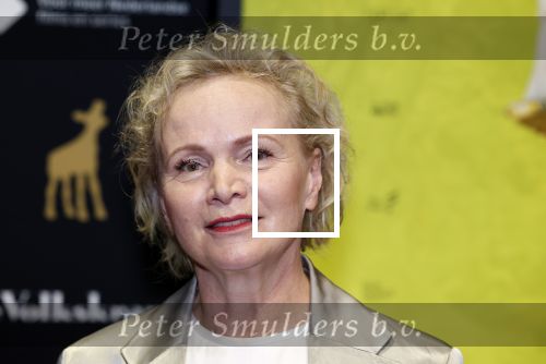 Utrecht 22 september 2023
Premiere Sweet dreams tijdens openingsavond van de filmdagen.