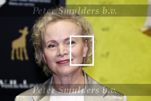 Utrecht 22 september 2023
Premiere Sweet dreams tijdens openingsavond van de filmdagen.