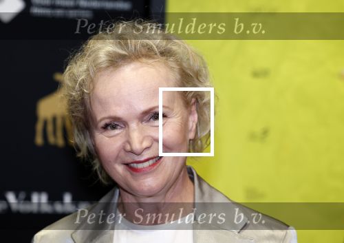 Utrecht 22 september 2023
Premiere Sweet dreams tijdens openingsavond van de filmdagen.