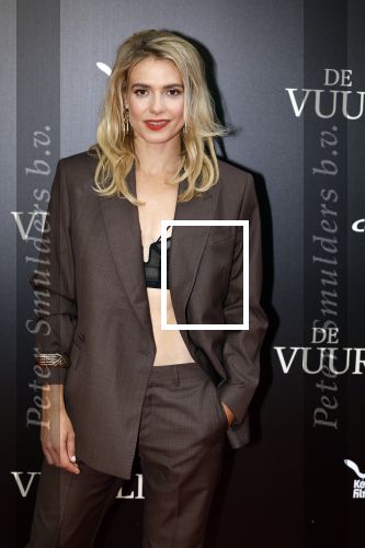 Amsterdam 11 september 2023
Premiere de Vuurlinie in Thuschinski Amsterdam . Sallie Harmsen